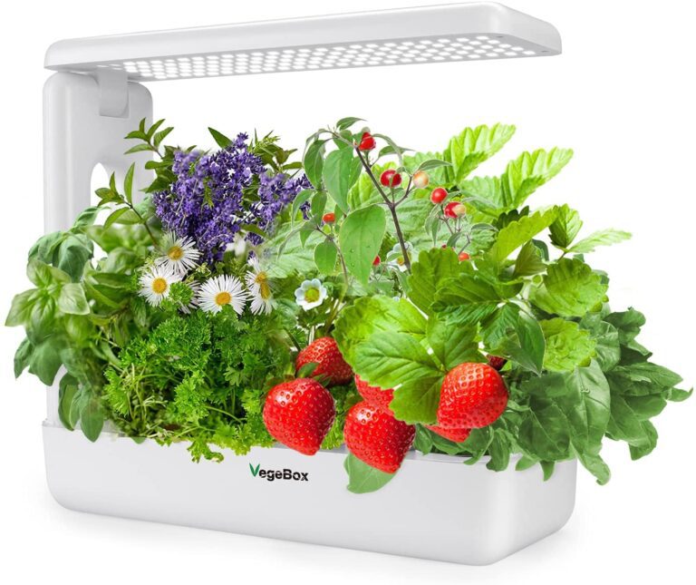 The Best Hydroponic Indoor Gardens of 2023