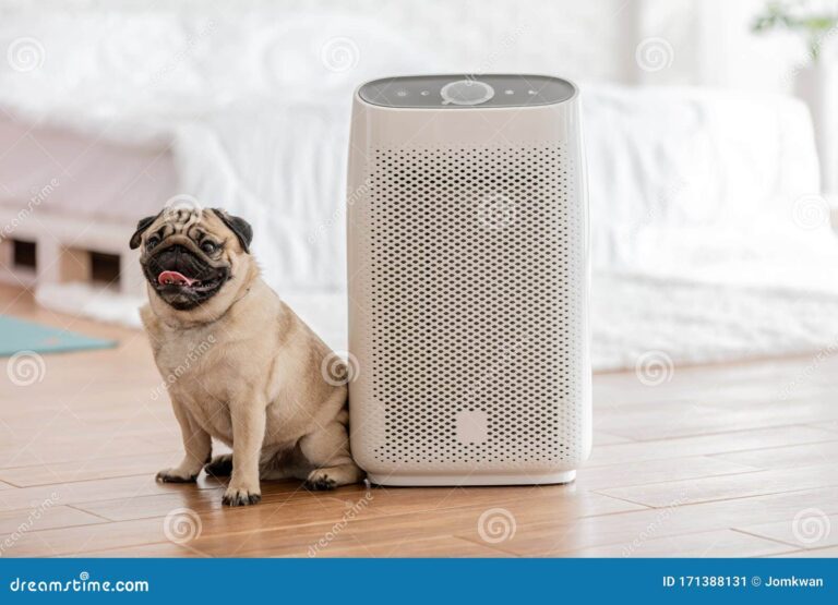 Top 3 Air Purifiers for Cleaner Indoor Air